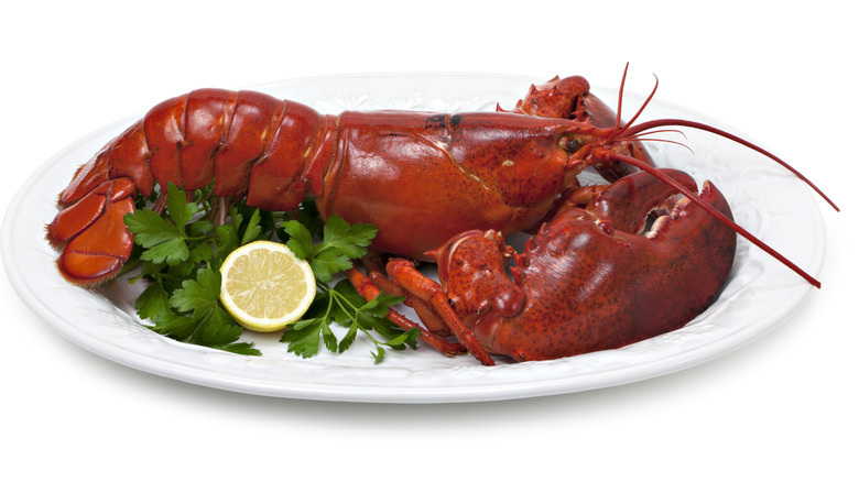 Boiled lobster on platter