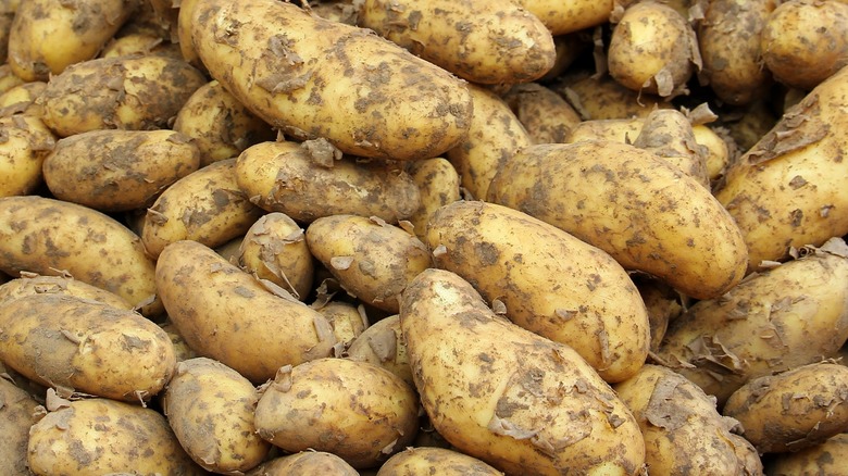 Raw potatoes piled together