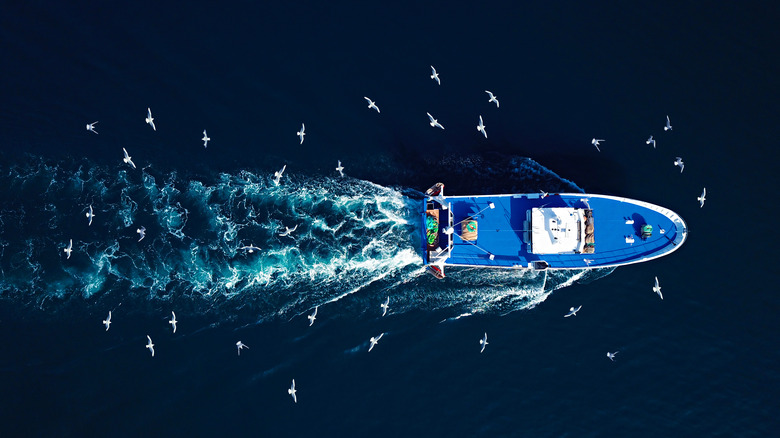 fishing ship at sea