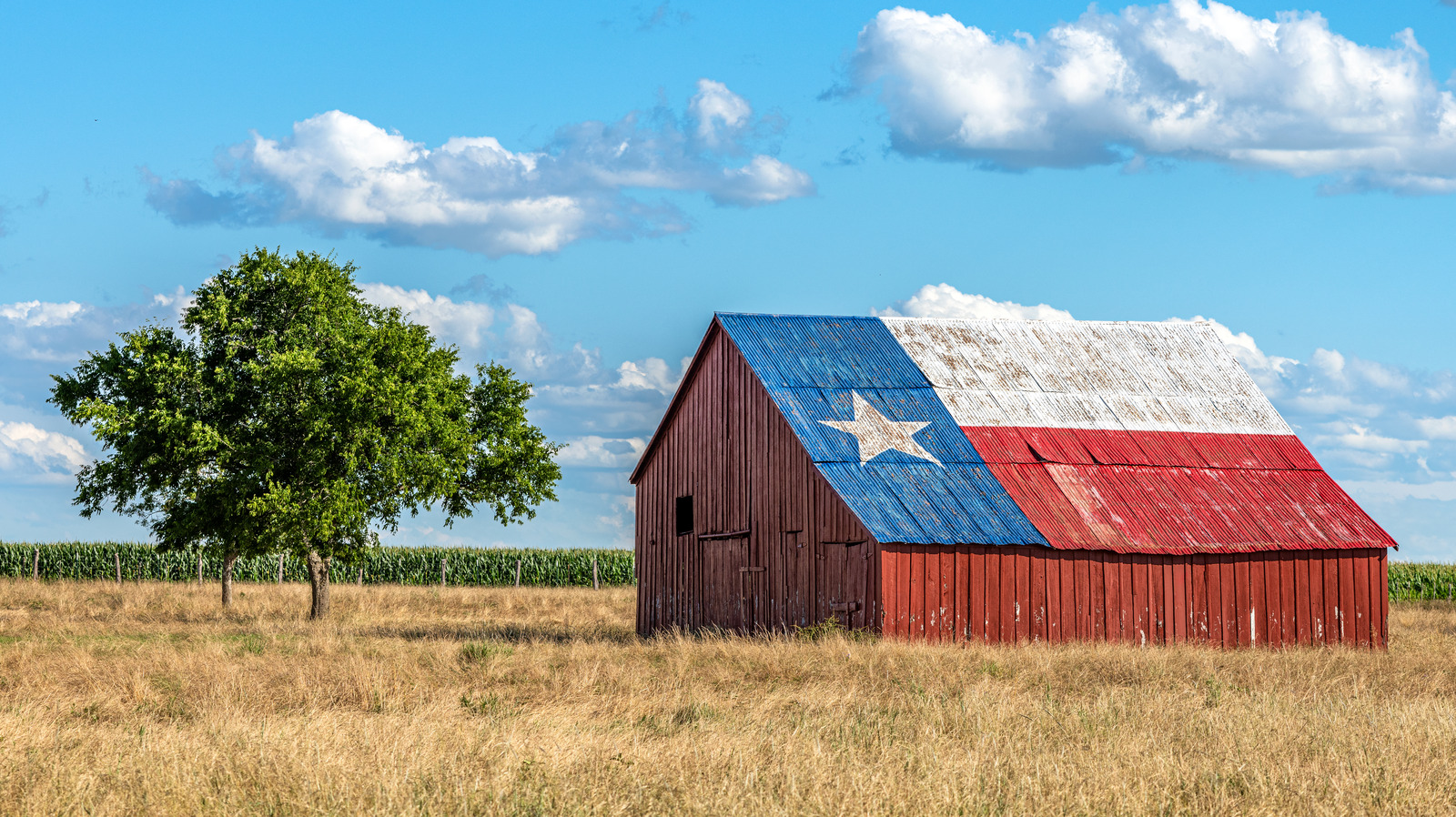 What Should Really Be Texas' Official Food, According To Reddit