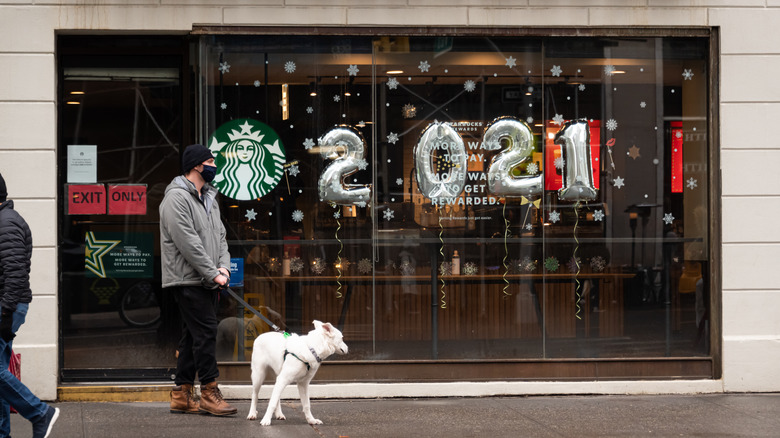 Dog waiting outside Starbucks 