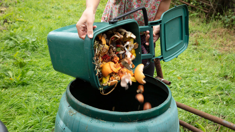 composted food being spilled into composter