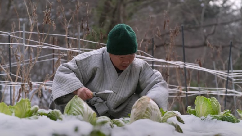 Jeong Kwan tending cabbage in a garden