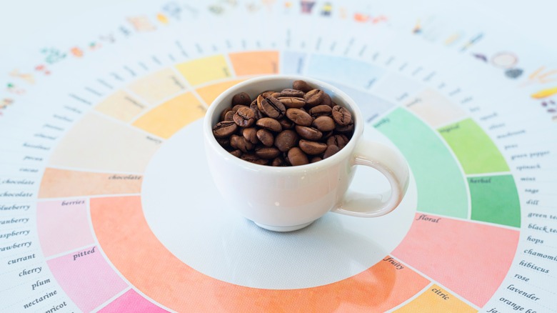 coffee on coffee flavor wheel