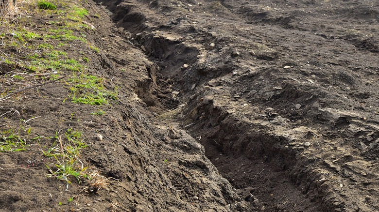 field soil degradation