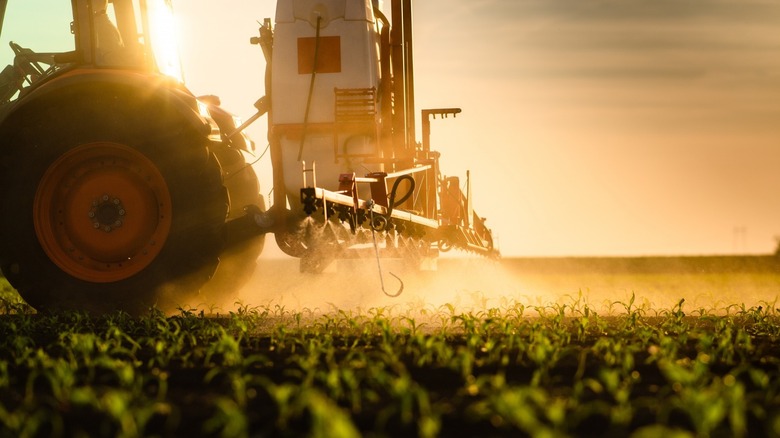 tractor and corn crops