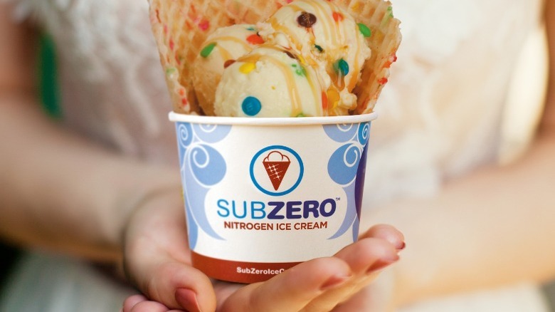 Sub Zero Ice Cream sample