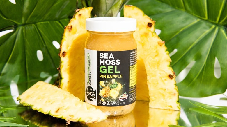 Jar of sea moss gel