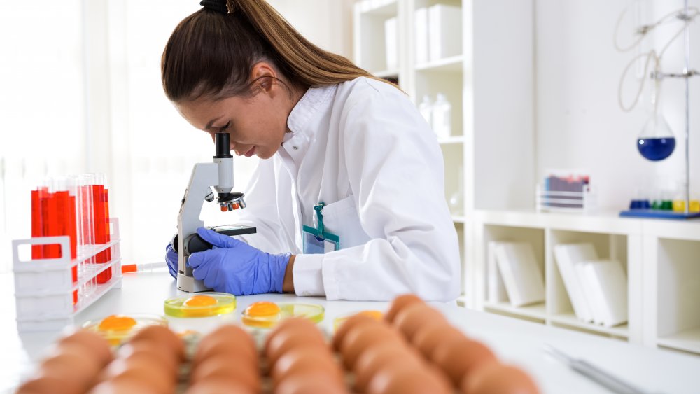 Lab scientist inspecting eggs 