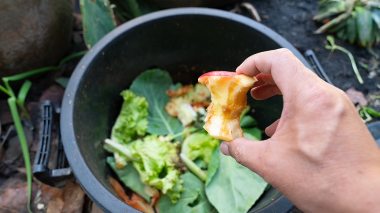 Person putting apple core into compost bucket