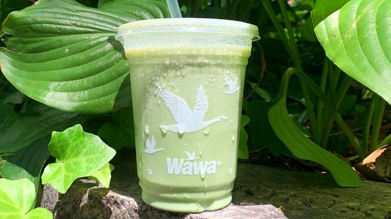 iced matcha from Wawa