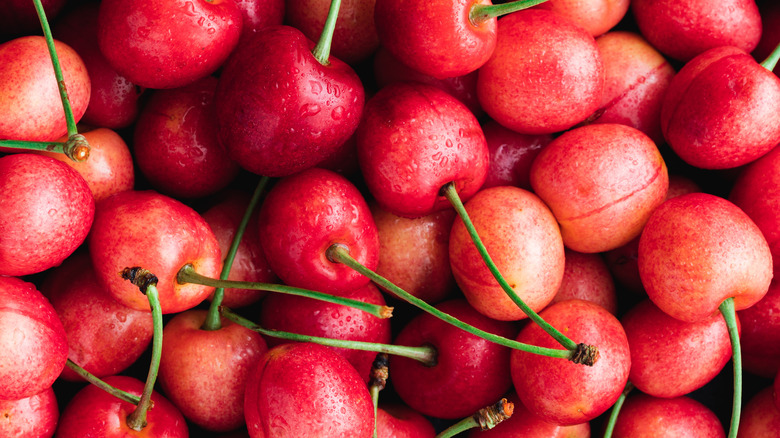 cherries on stems