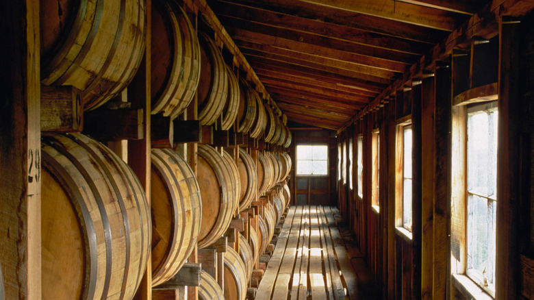 Row of Maker's Mark barrels