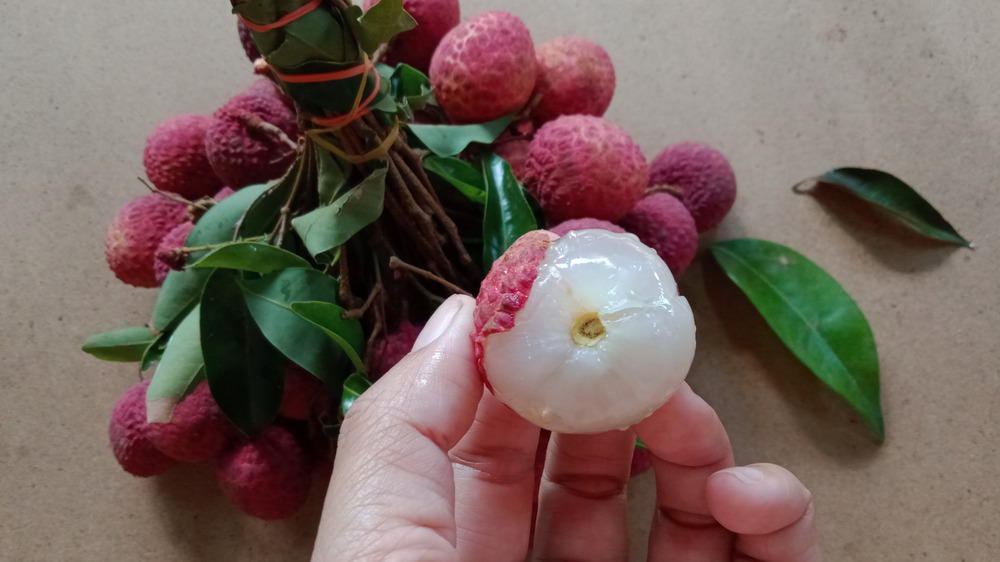 Holding a peeled, ripe lychee