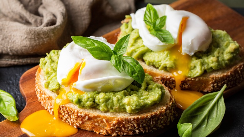 avocado toast with an egg