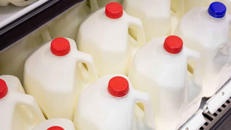 Gallons of milk at grocery store