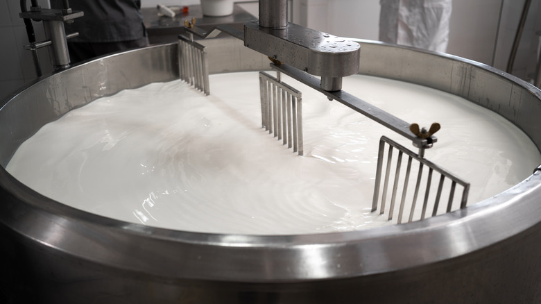 yogurt fermenting in tanks