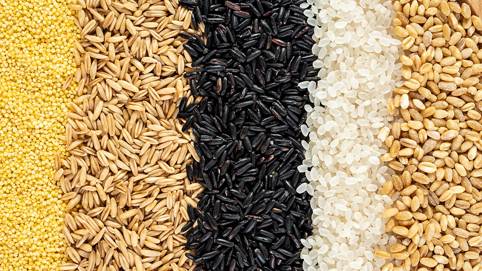 Black Japonica Rice | vlr.eng.br