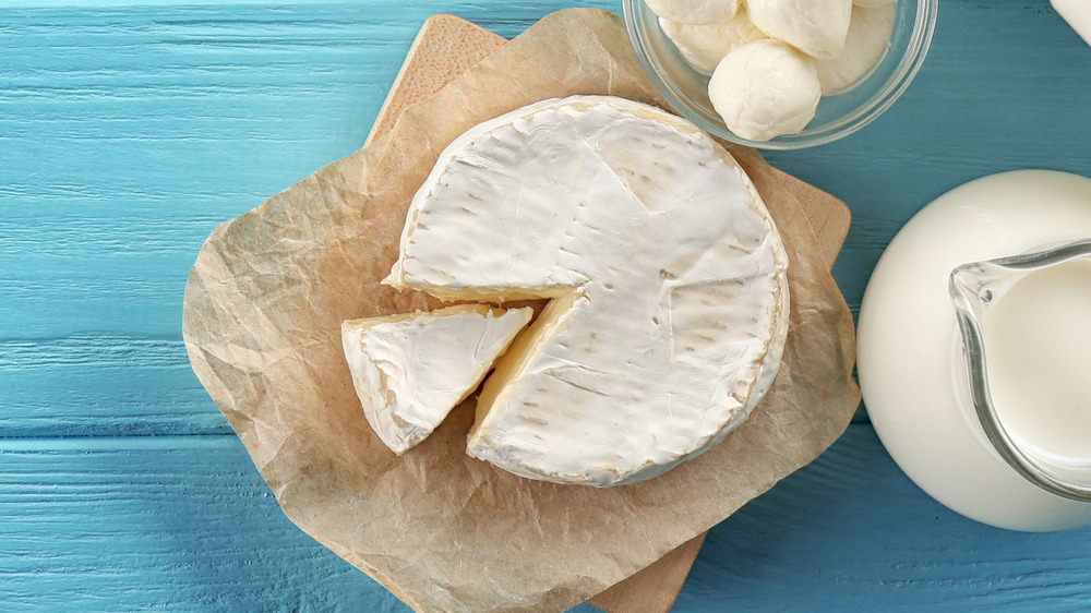 Brie cheese on a table with milk and curds