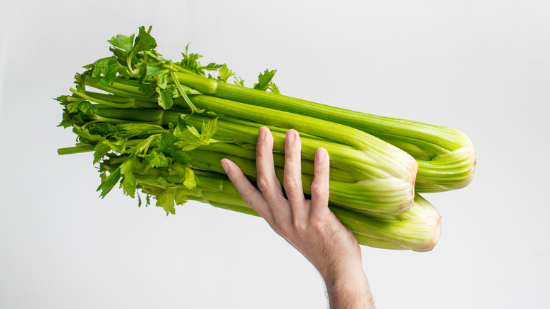 hand holding celery