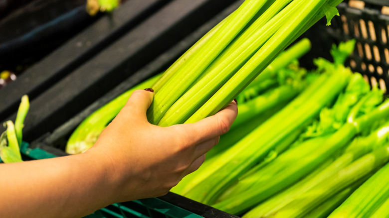 picking up celery at store