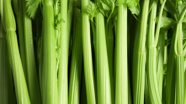 close up celery sticks