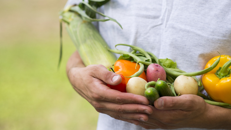 Farmer cradling vegetable assortment