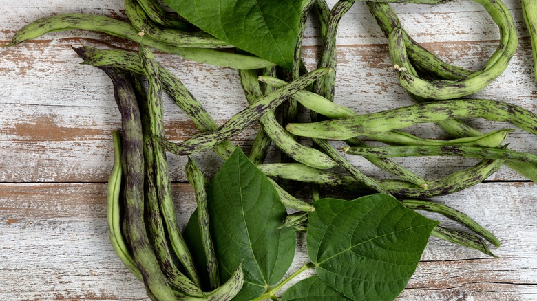 Rattlesnake beans on a wooden table