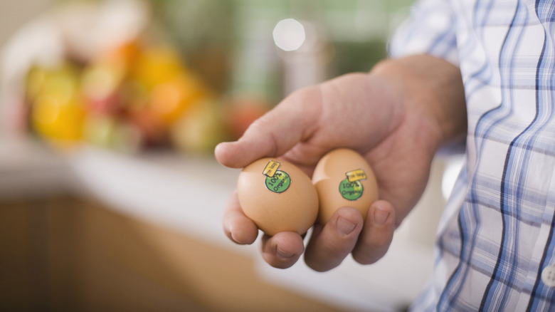 hand holding organic eggs