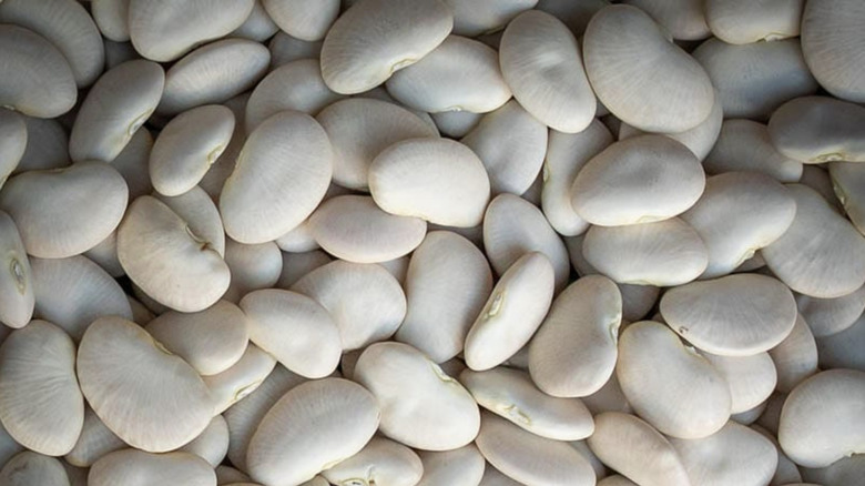 white Lima beans