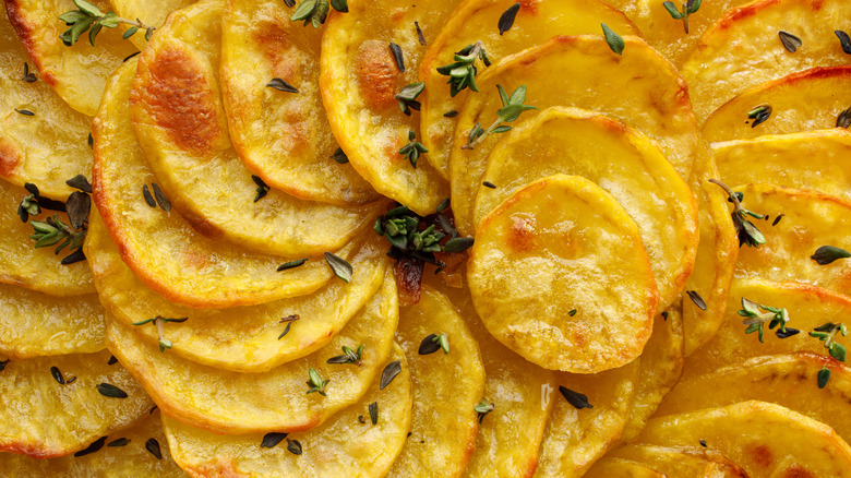 Scalloped potatoes close-up