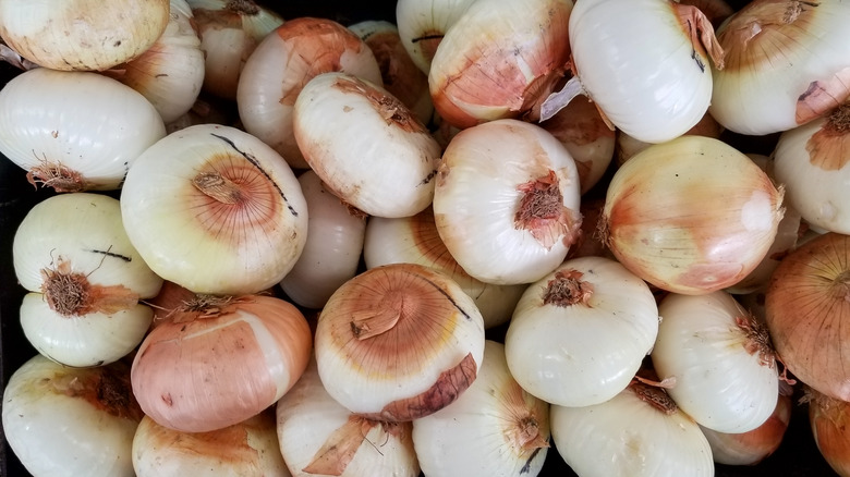 Vidalia sweet onions