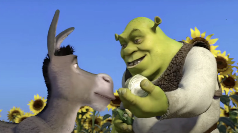 Shrek onion sunflower donkey