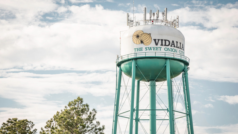 Vidalia water tower sweet onion city