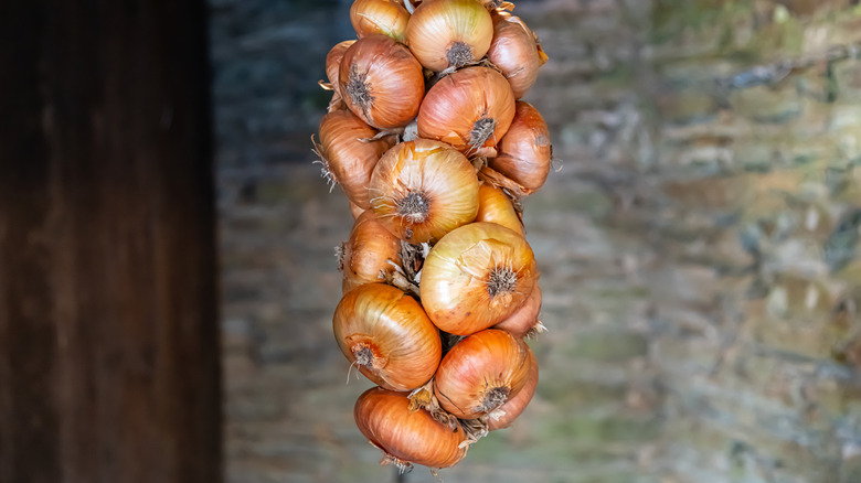 hanging bunch of white onions