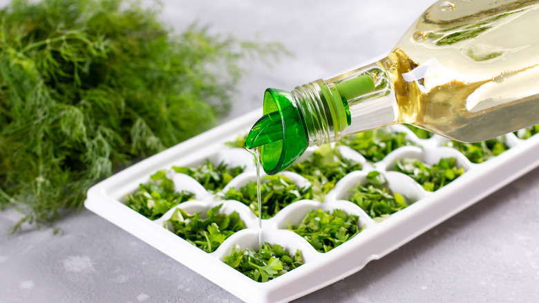 Herbs, oil, ice cube tray