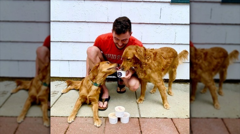 two dogs eating Rush Bowls 