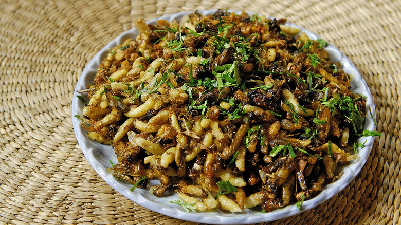 Fried pupae in bowl