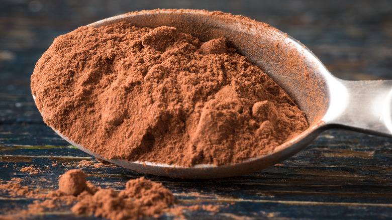 Cocoa powder in a spoon