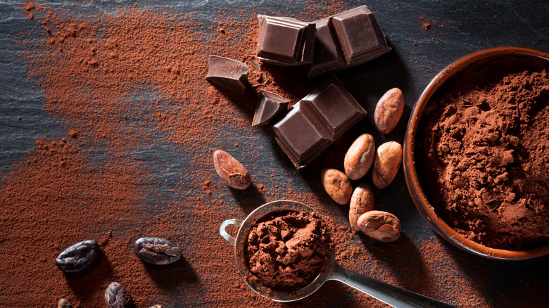 Cocoa beans and chocolate bar pieces