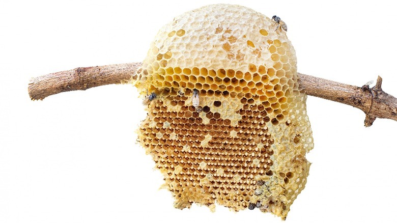 beehive honey