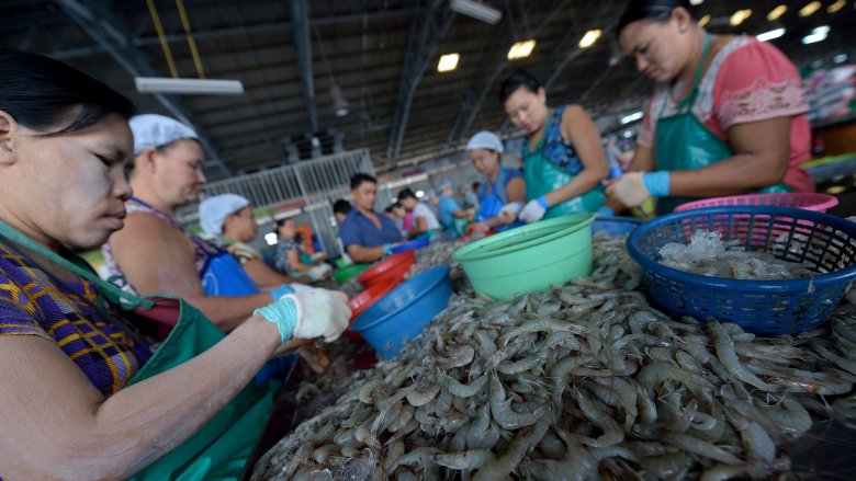 Thailand shrimp farming