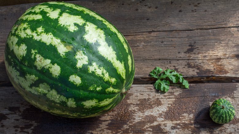 how to choose a ripe watermelon