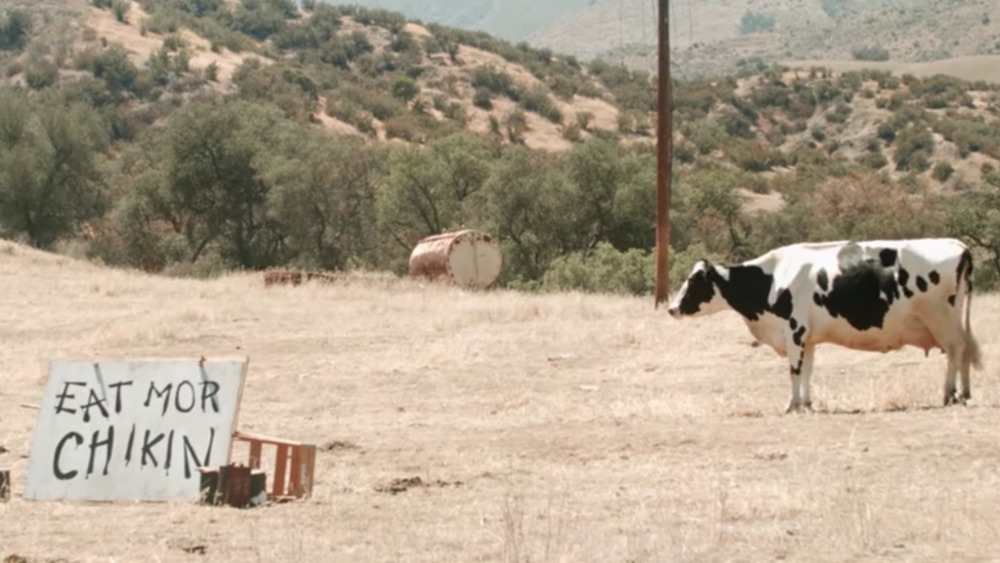 Real Chick-fil-A cow with sign