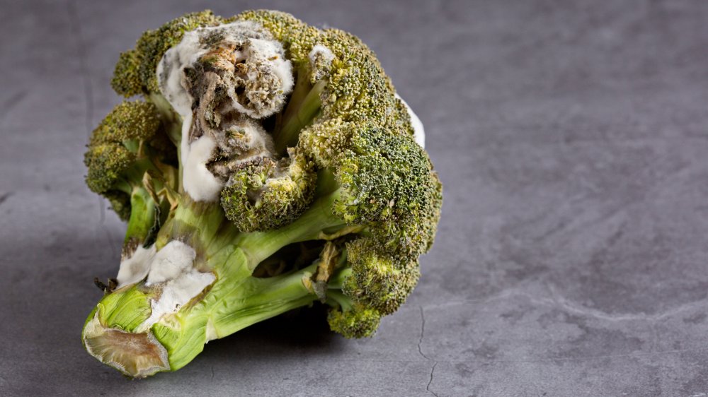 Moldy broccoli