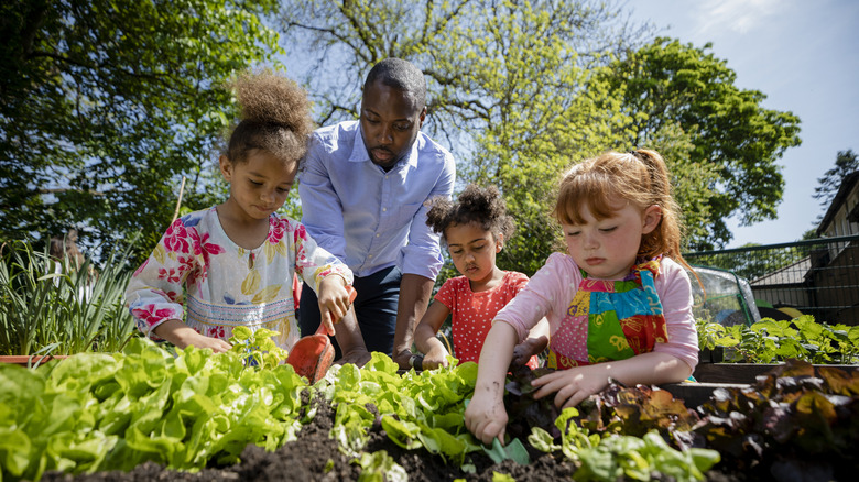 Teaching students to garden