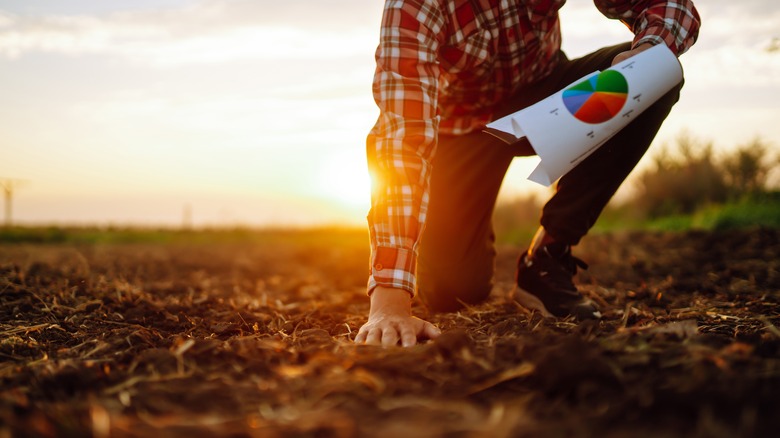 Farmer touching soil