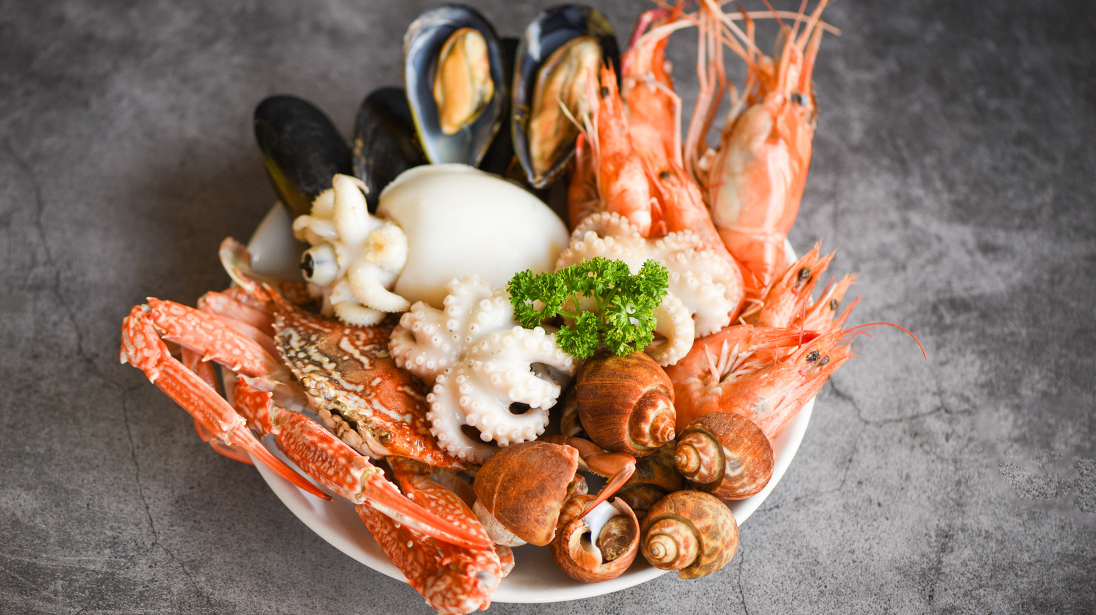 what-you-should-know-about-shellfish-phobias