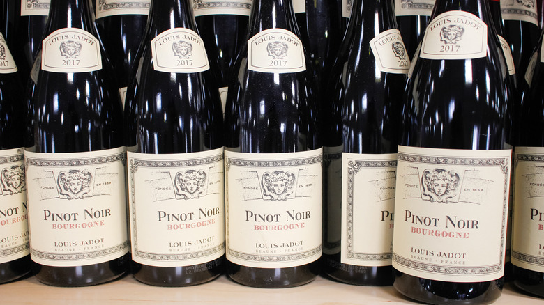 Bottles of Burgundy Pinot Noir