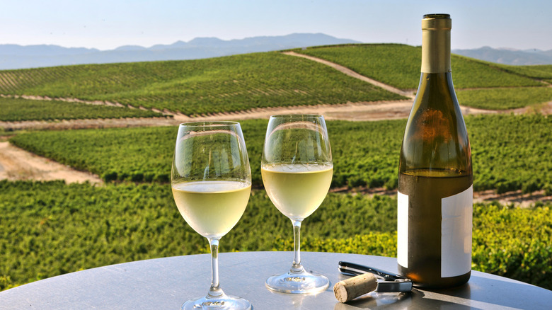 two glasses of white wine and bottle overlooking vineyard